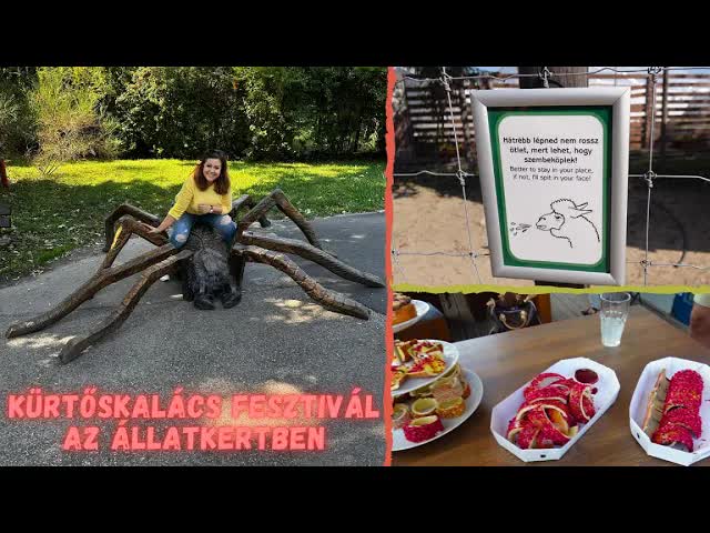 Kürtőskalács Fesztivál és Állatkert Látogatás