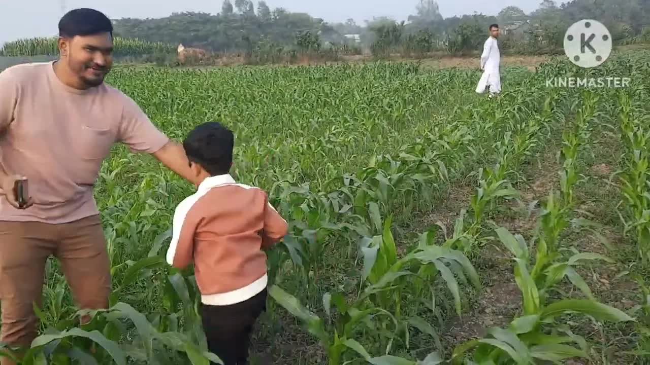 গ্রাম বাংলার ক্ষেত থেকে শাক তোলার দৃশ্য