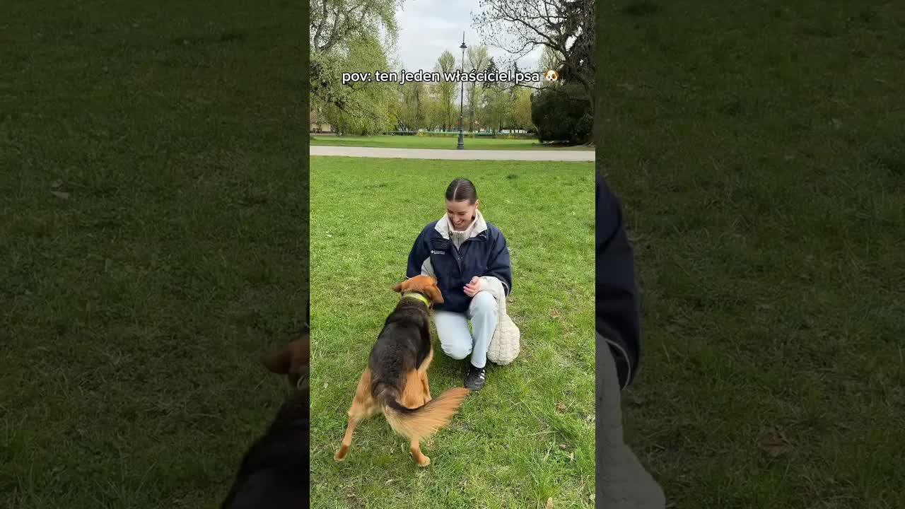 Piesek na diecie roślinnej i wizyta u behawiorystki