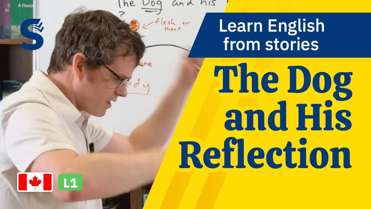 The Dog and His Reflection Story for Beginners