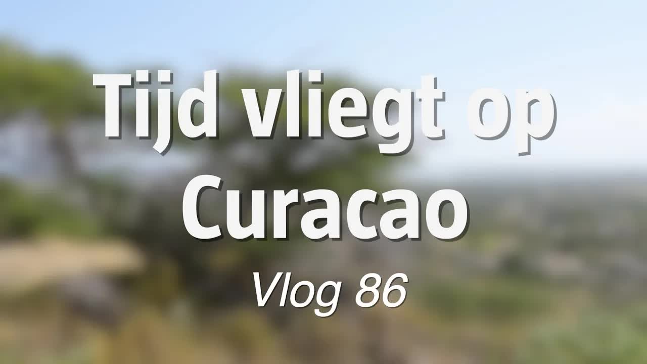 Tijd vliegt op Curaçao: Een dag in het leven