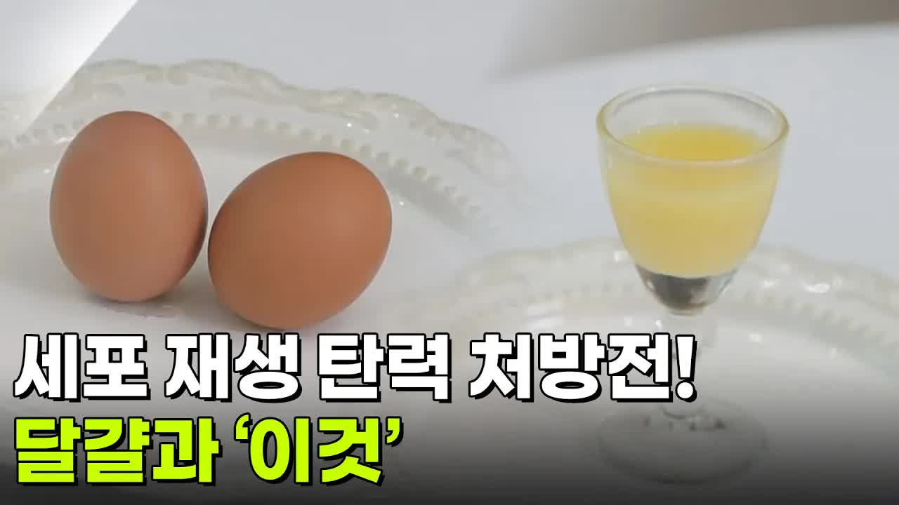 세포 재생을 켜는 탄력 처방전