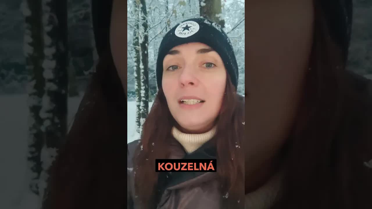 Tajemství kouzelného sněhuláka: Nová pohádka