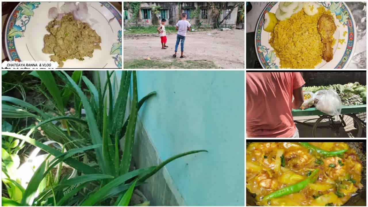 সকাল থেকে বিকাল পর্যন্ত দৈনিক রুটিন ব্লগ