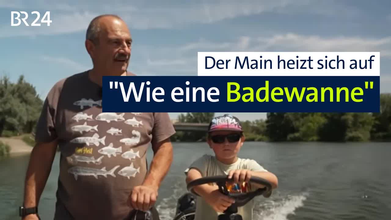 Wenn der Main zu heiß wird: Gefahr für Fische
