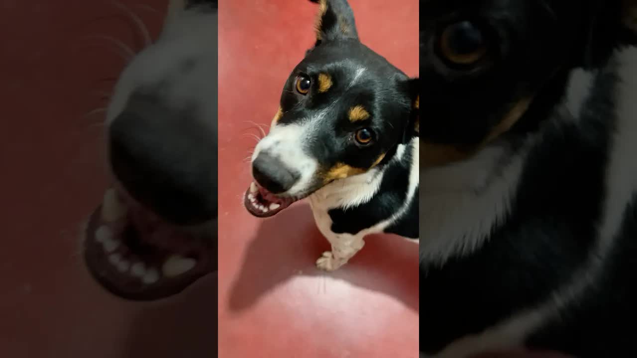 El truco para no comer la sopa