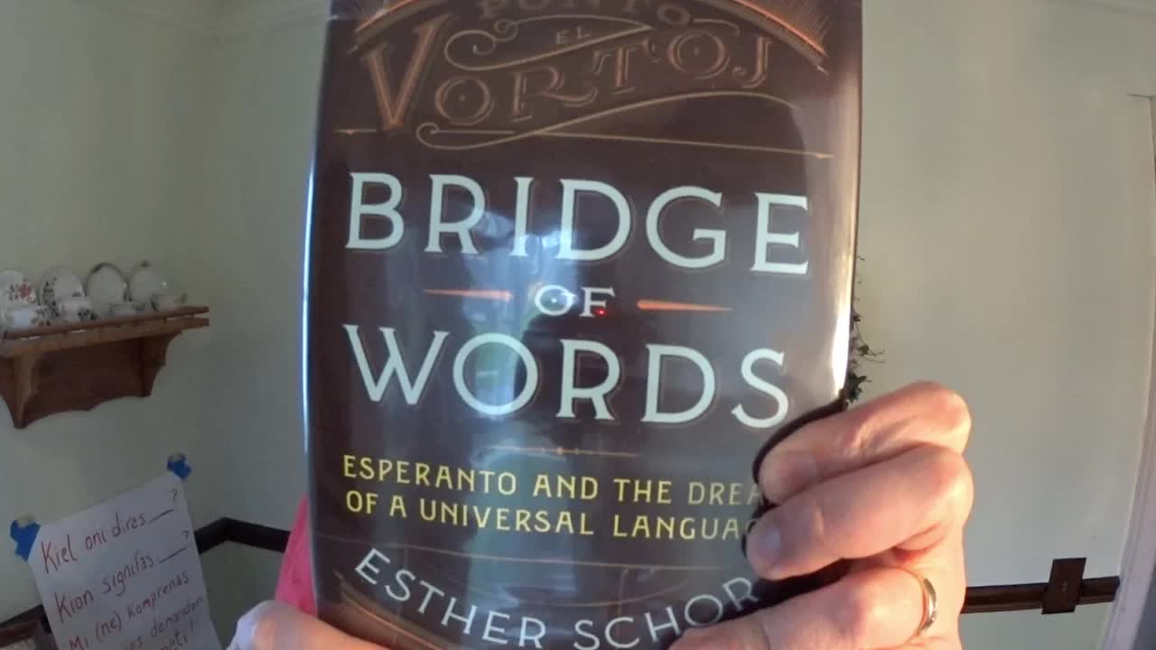 Recenzo de la libro Bridge of Words