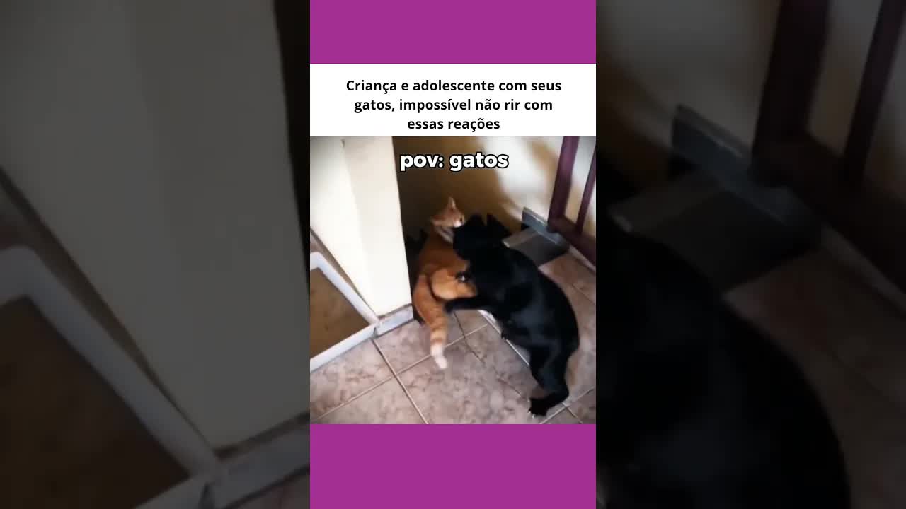 Criança e adolescente com seus gatos