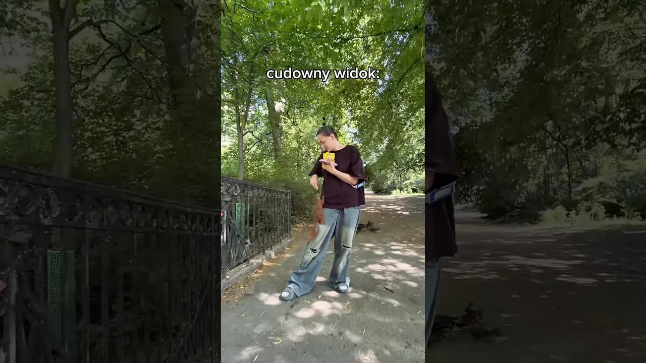 Szukamy wiewiórek w parku