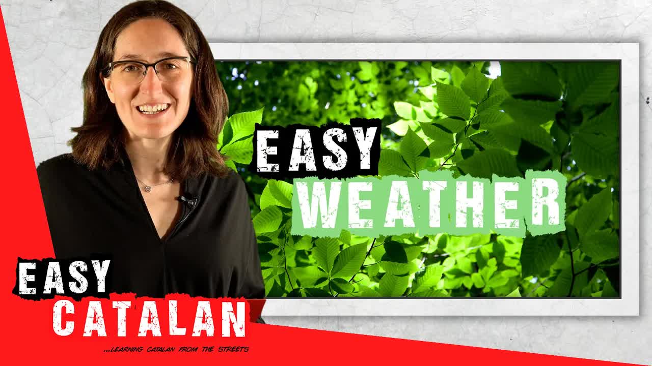 El temps meteorològic a Catalunya: Estacions i Previsió