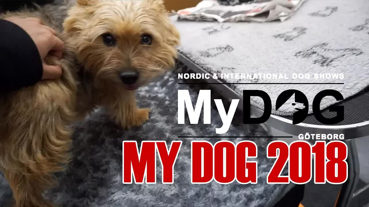 Besök på hundmässan My Dog i Göteborg