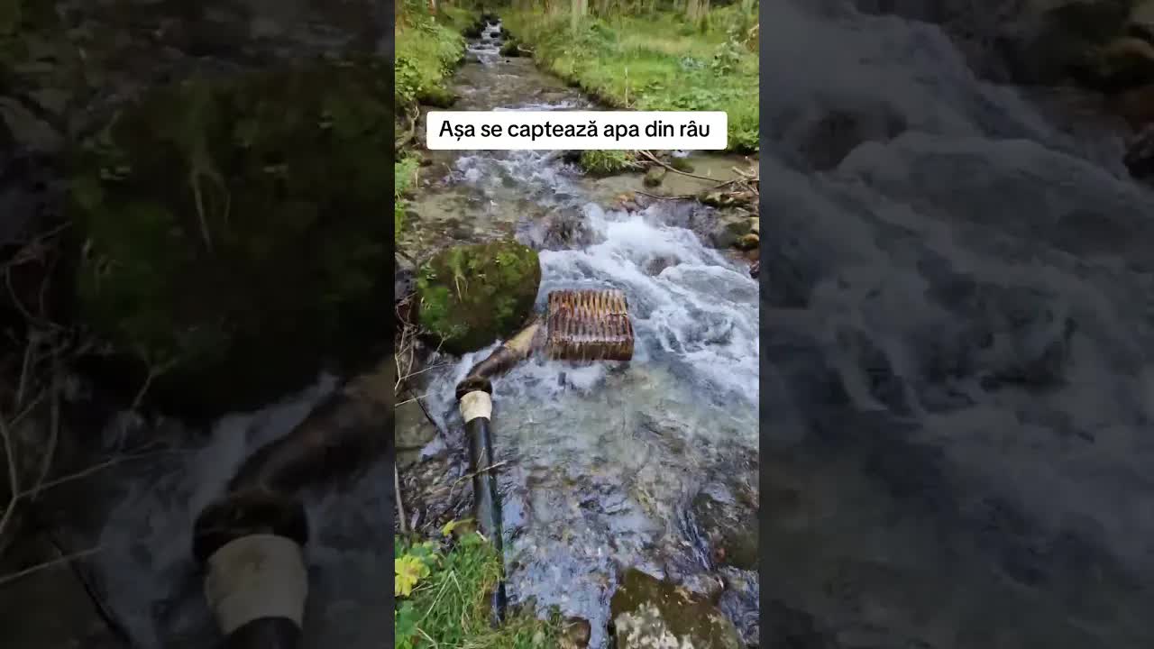 Captarea apei din izvor în pădure