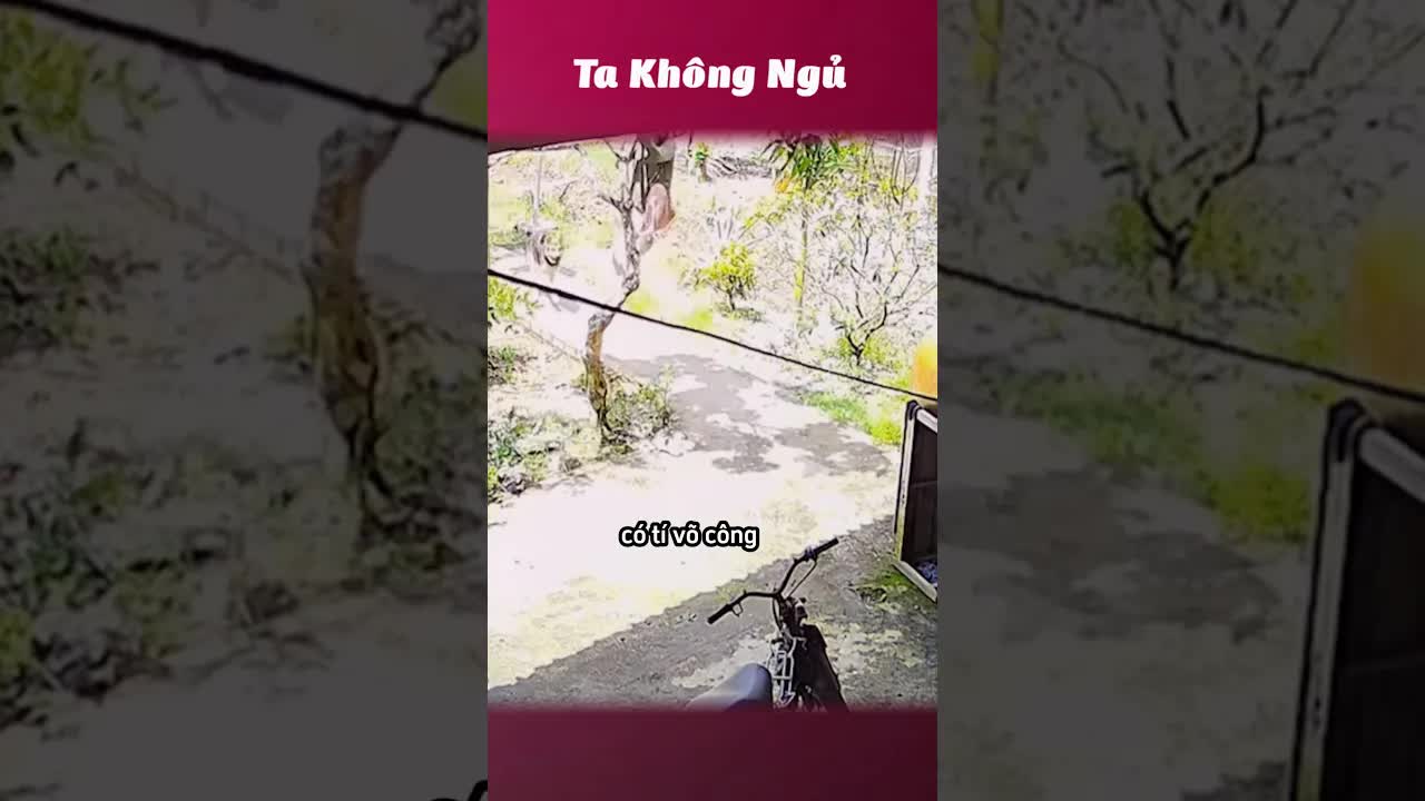 1001 Kiểu Người Khi Gặp Chó