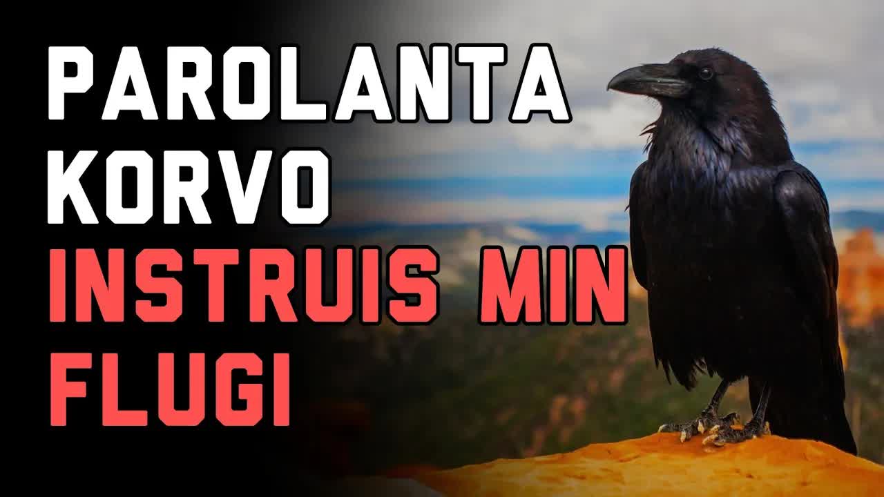 La Korvo Kiu Instruis Min Flugi