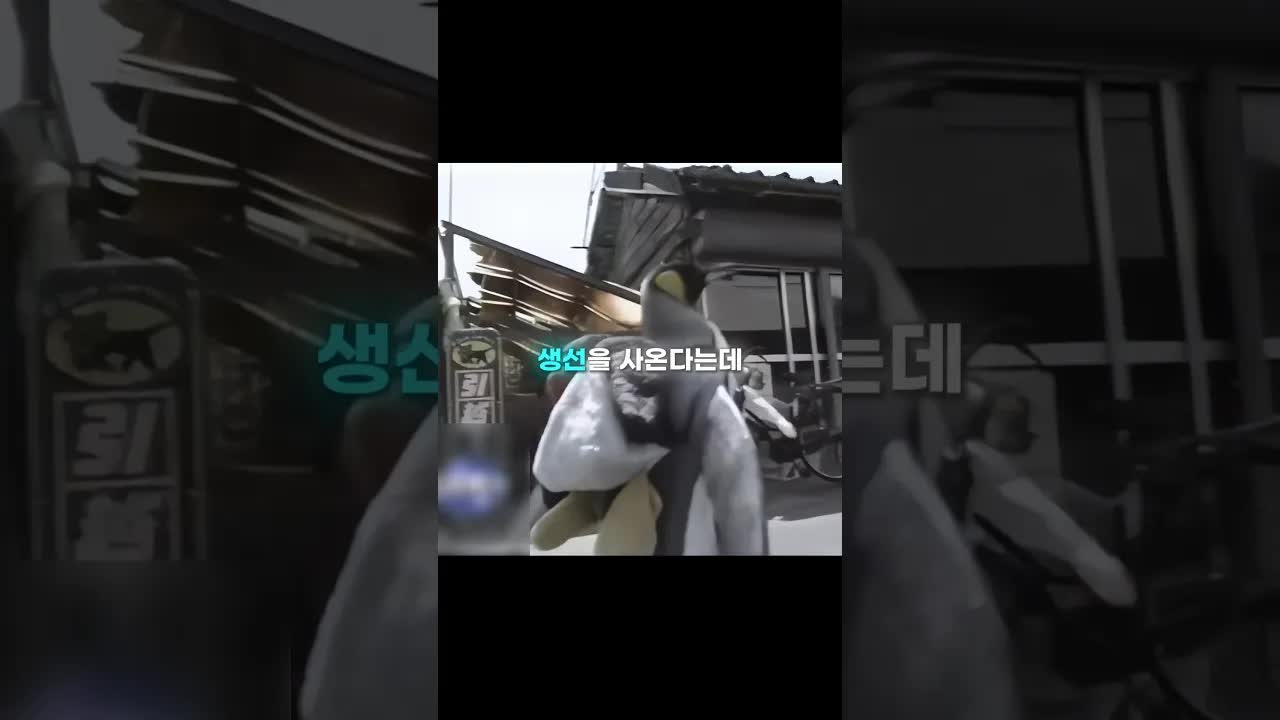 혼자 시장 가는 펭귄의 일상