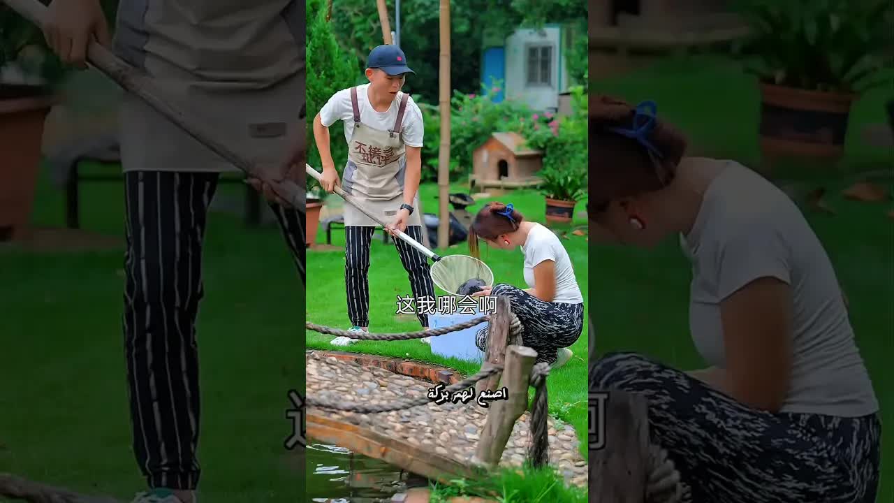 بناء بركة للسلاحف واكتشاف جلد ثعبان