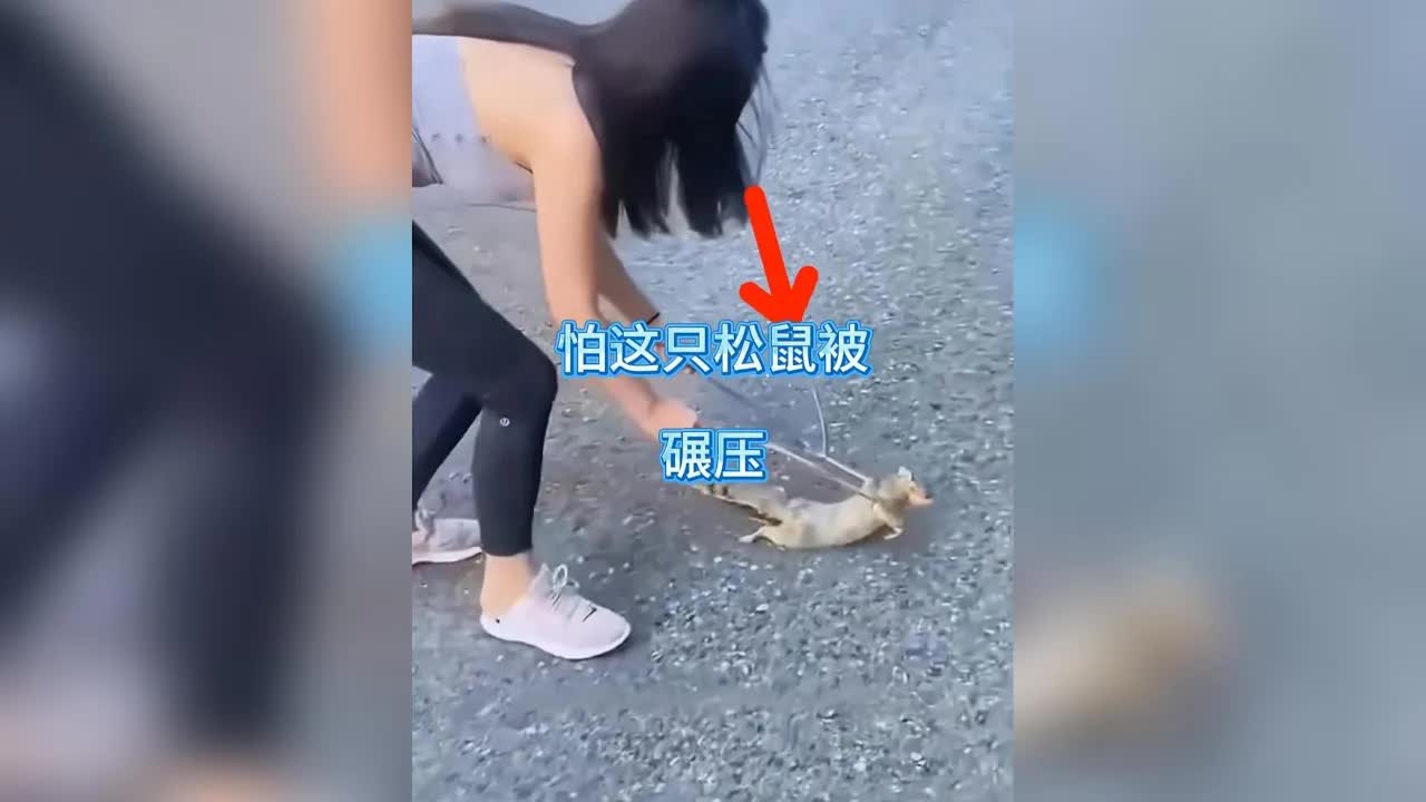 救助小松鼠後，牠們成了最好的夥伴