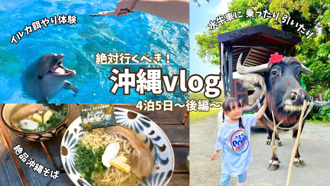 沖縄旅行で動物と触れ合う楽しい一日