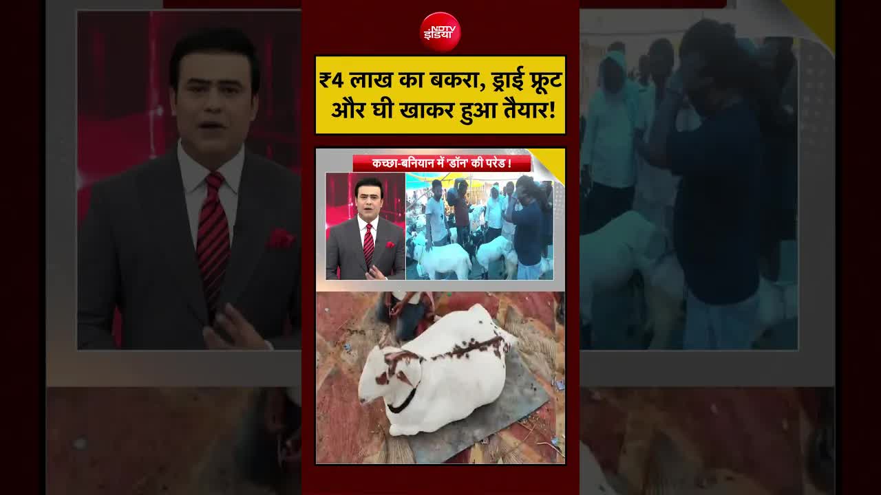 ₹4 लाख का बकरा: ईद पर महंगाई की खबर