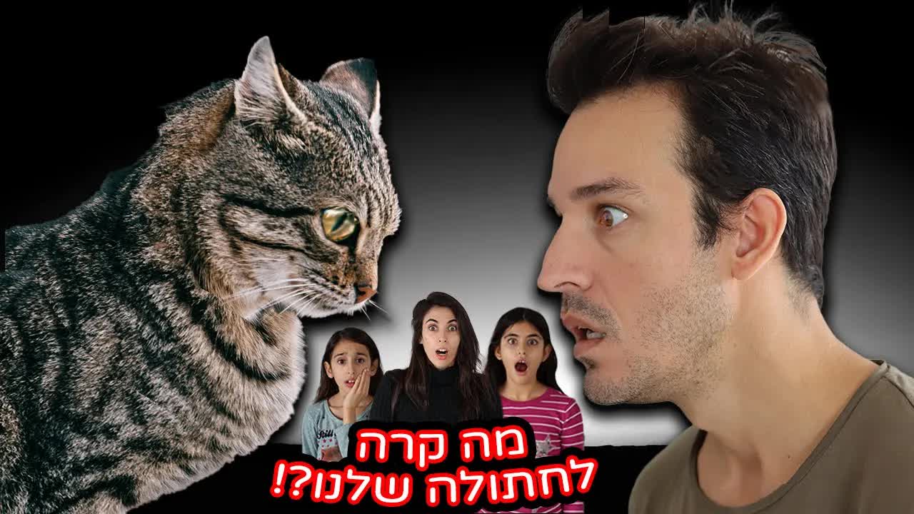 איך מסבירים לילדים שהחתולה מתה