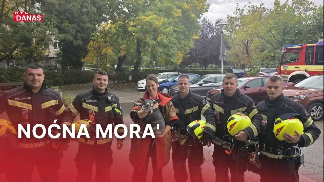 Pas spašen iz zaglavljenog lifta zahvaljujući vatrogascima