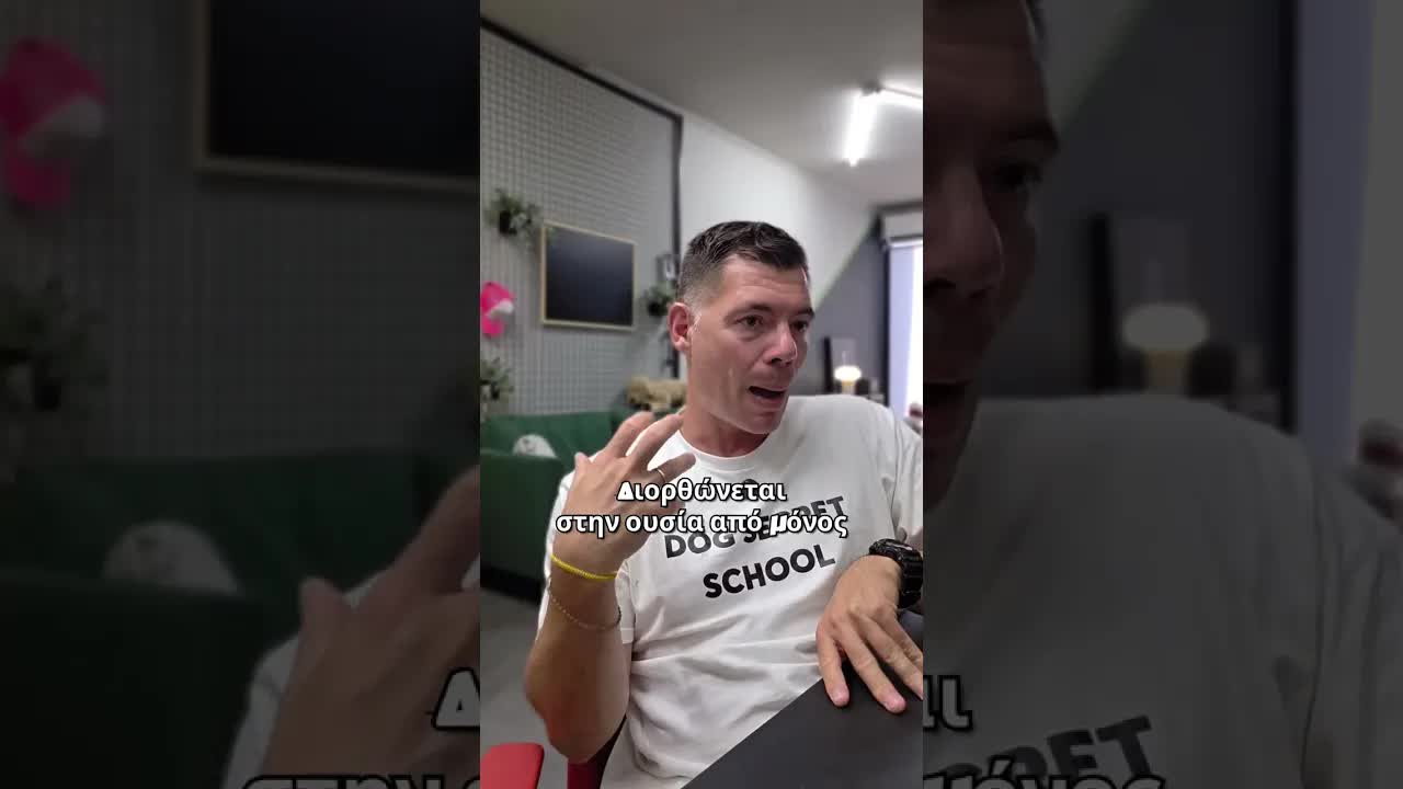 Διόρθωση συμπεριφοράς σκύλου στον πάγκο