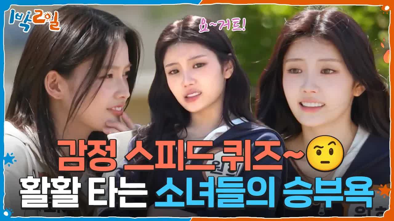 감정 스피드 퀴즈에서의 승부욕