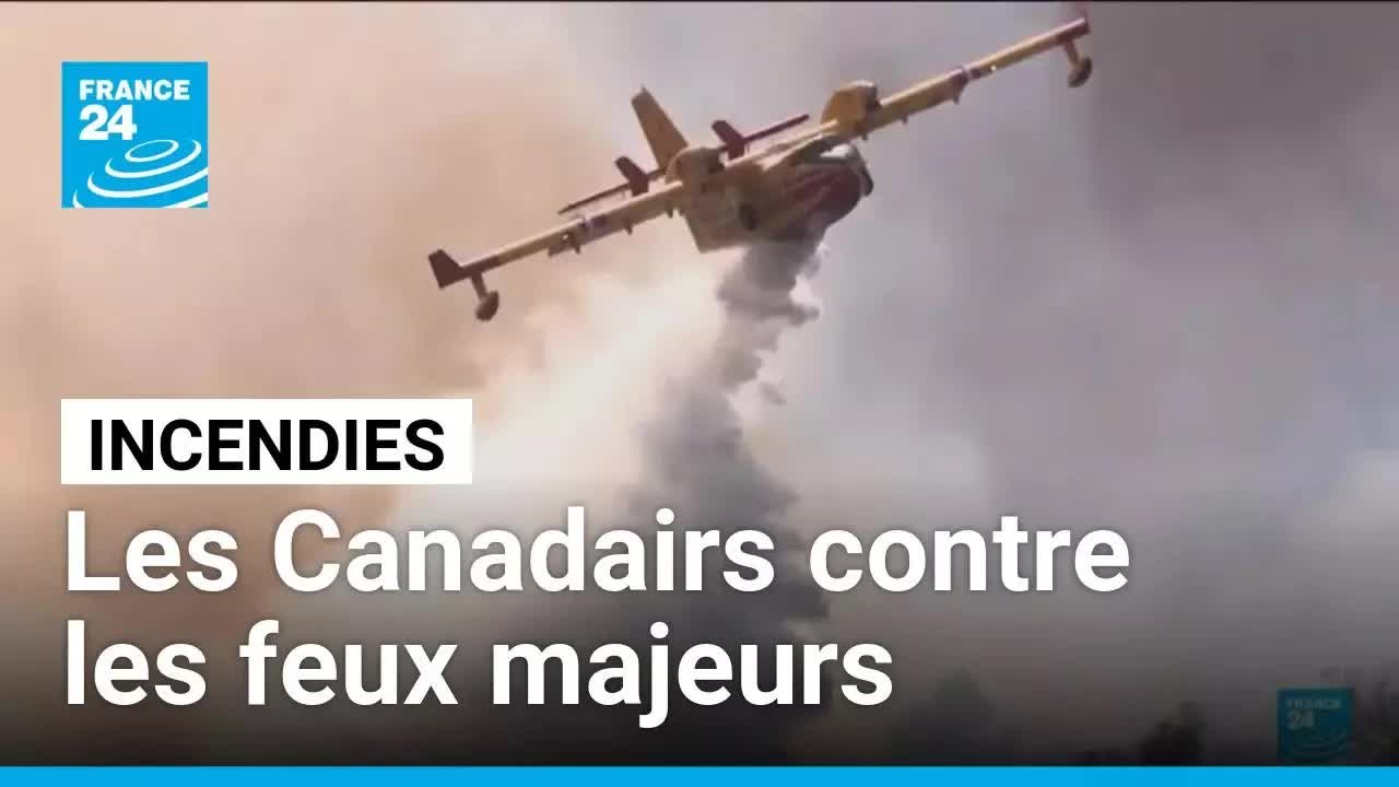 Les Canadairs en action contre les incendies