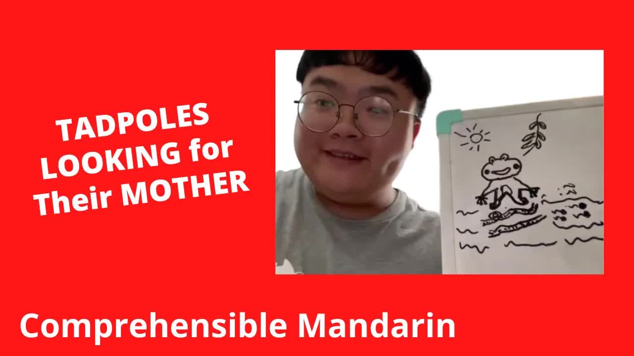 小蝌蚪找妈妈的故事