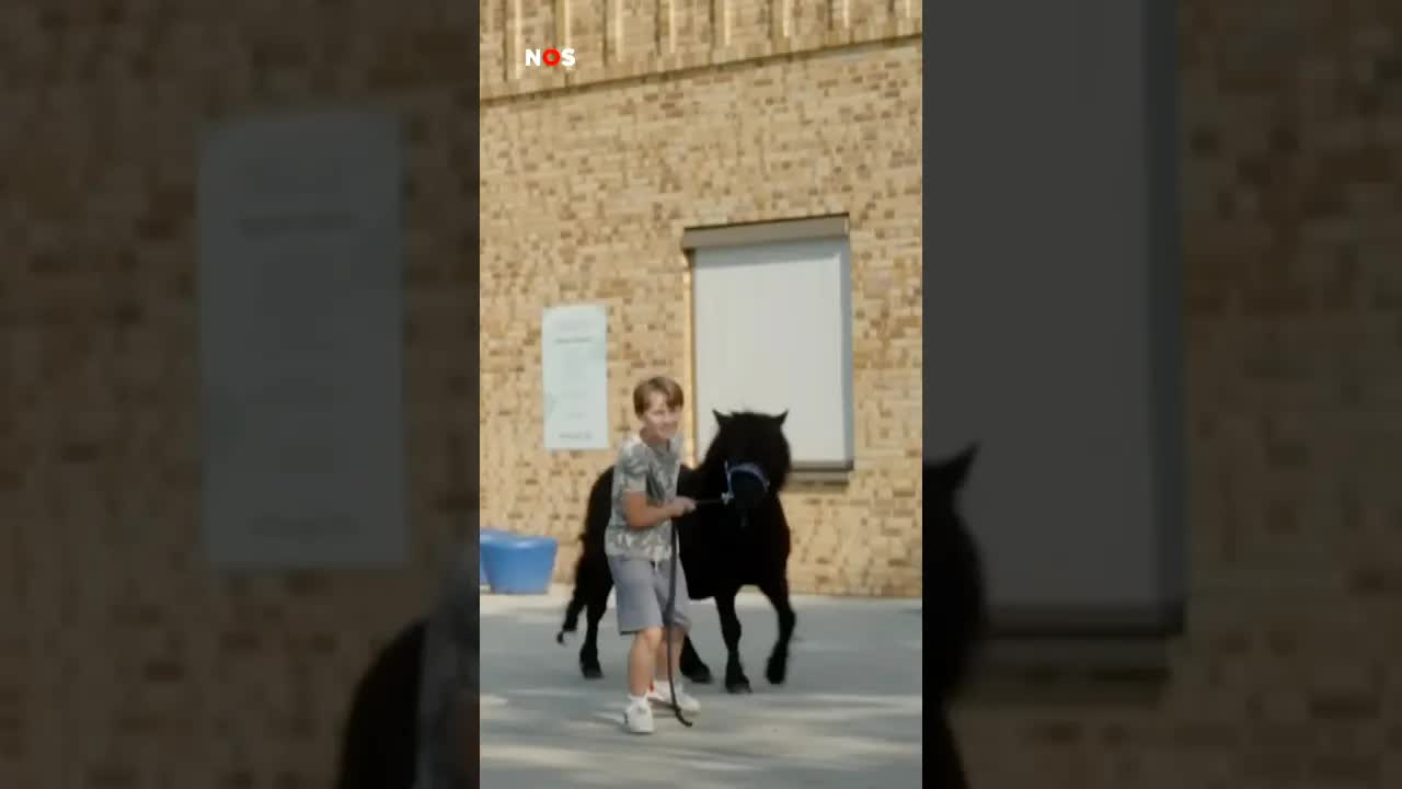 Kinderen nemen huisdieren mee naar school