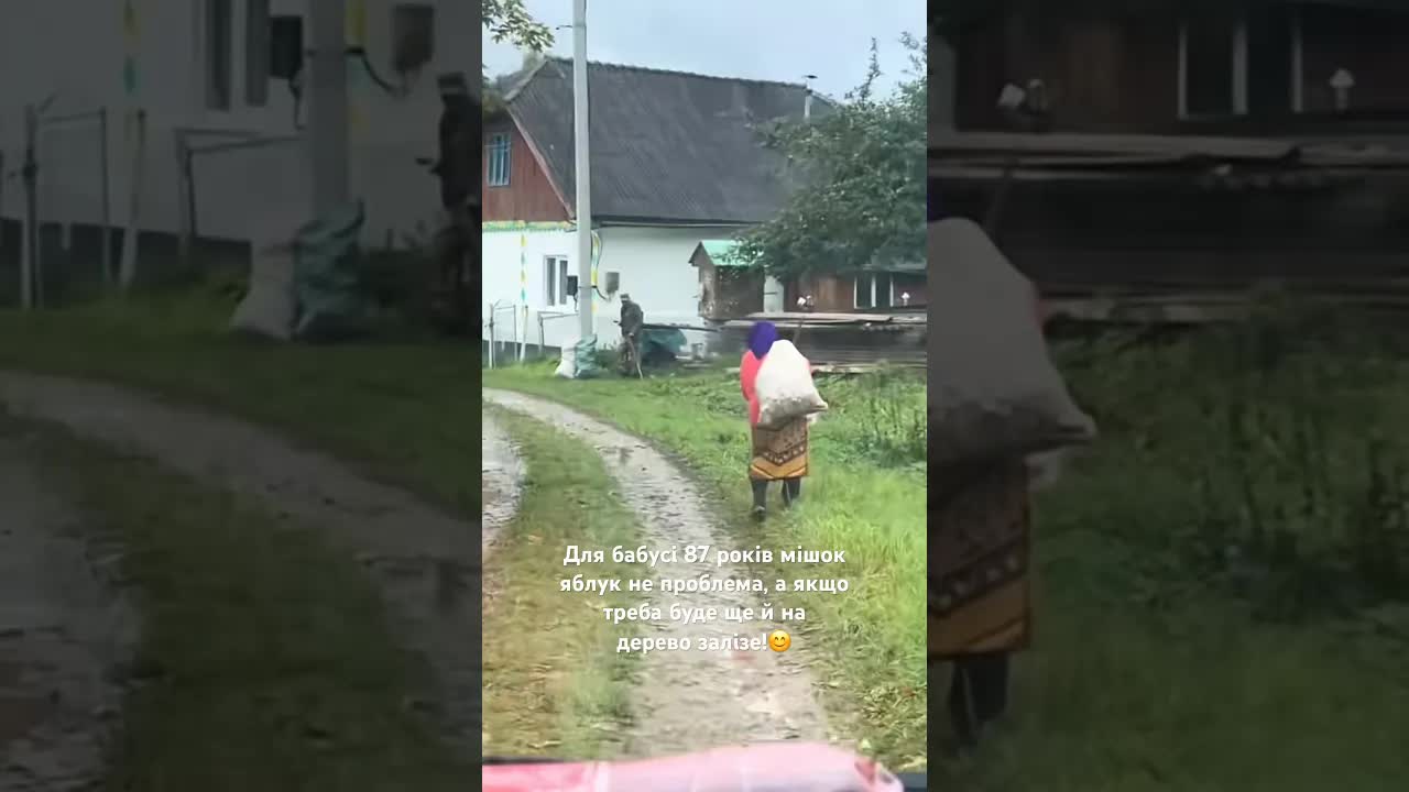 Бабуся 87 років: мішок яблук та дерево