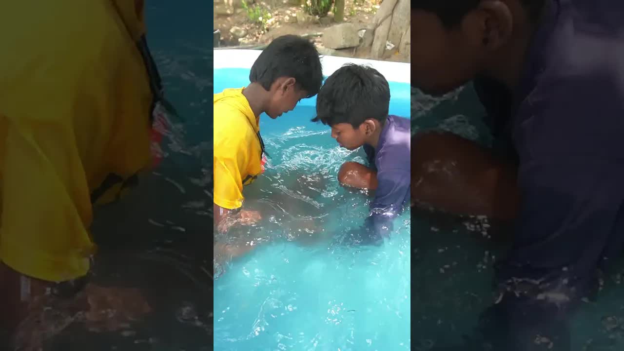 காயின் சேலஞ்சில் யார் வின்னர் ஆனாங்க