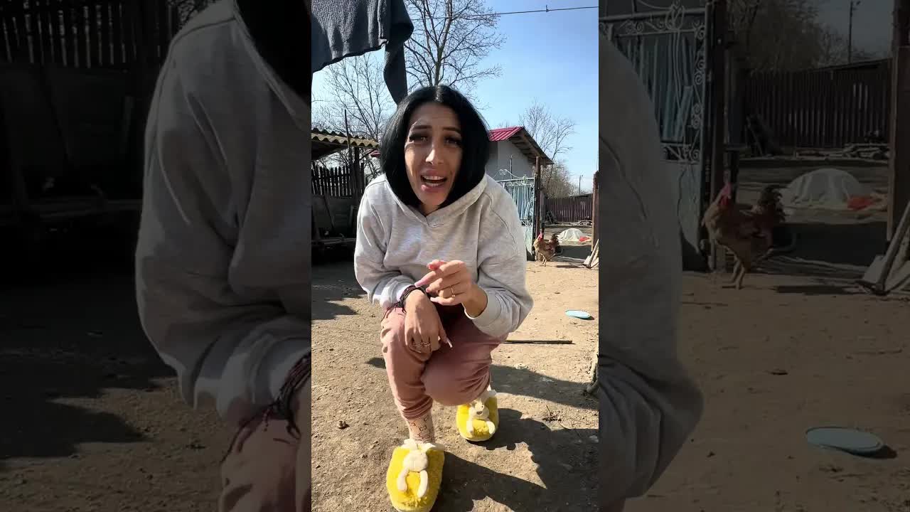 Copilul Îndrăgostește Pisicuța La Țară