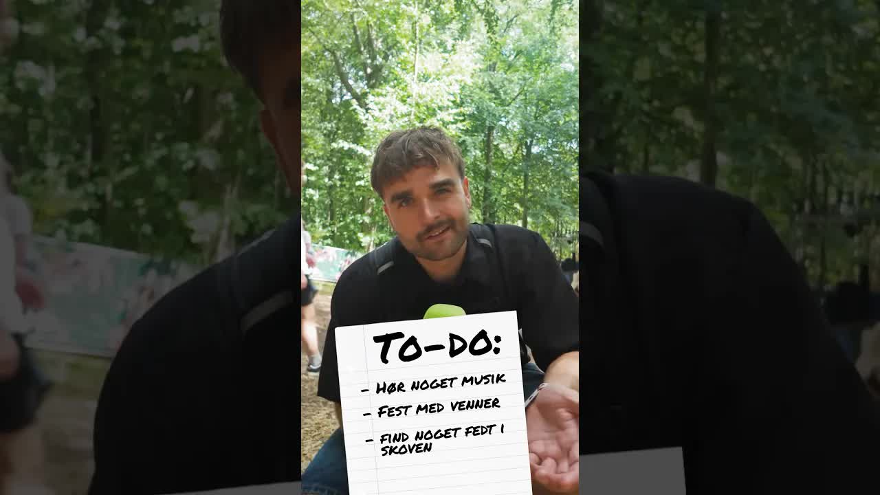 Den perfekte dag på en festival