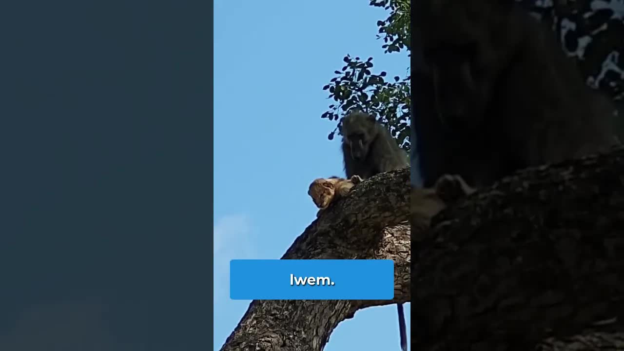 7 Nieoczekiwanych chwil z zwierzętami