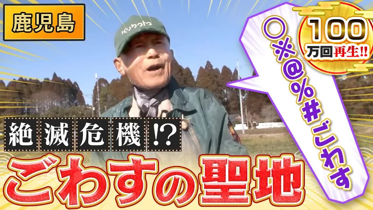 鹿児島弁「ごわす」の聖地を探検！