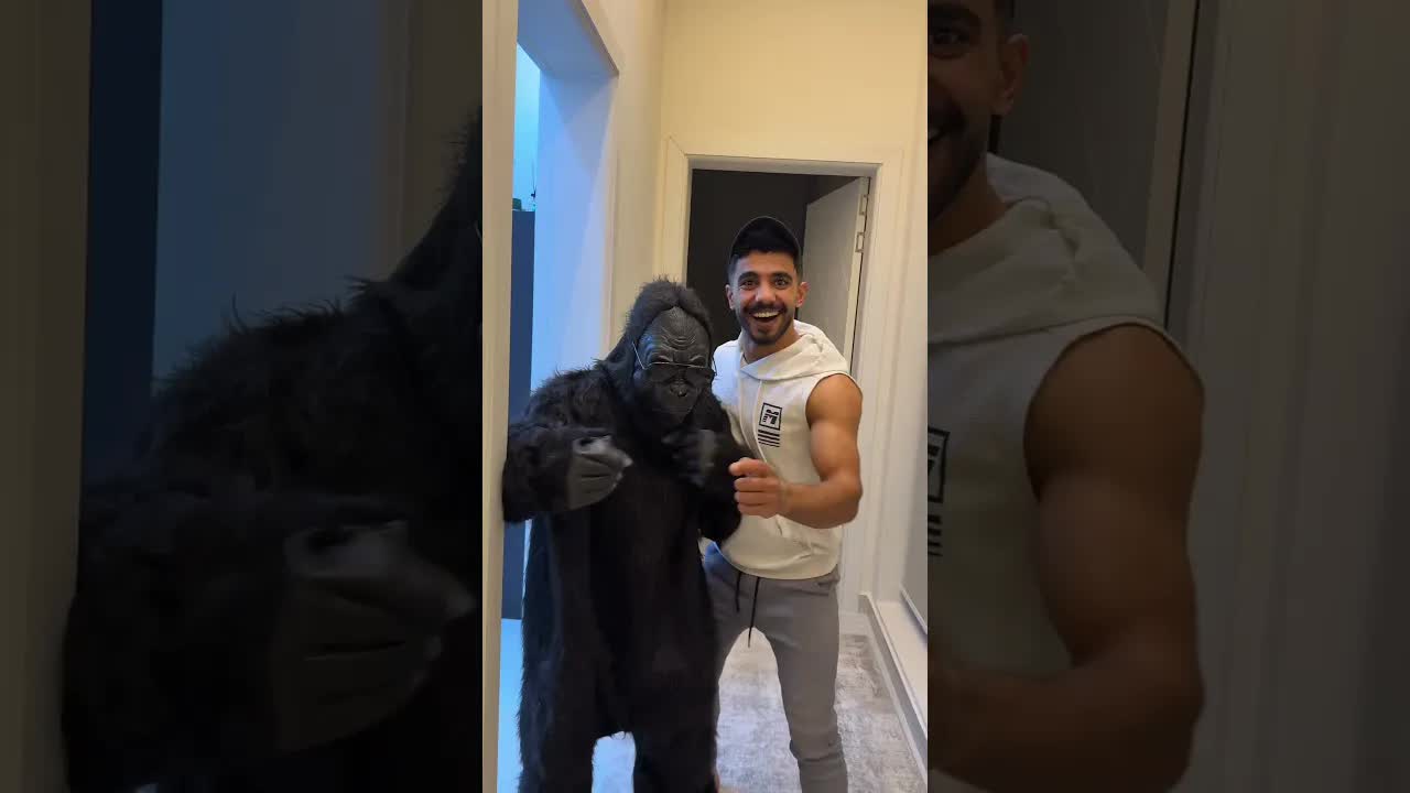 العب مع الغوريلا يا بابا