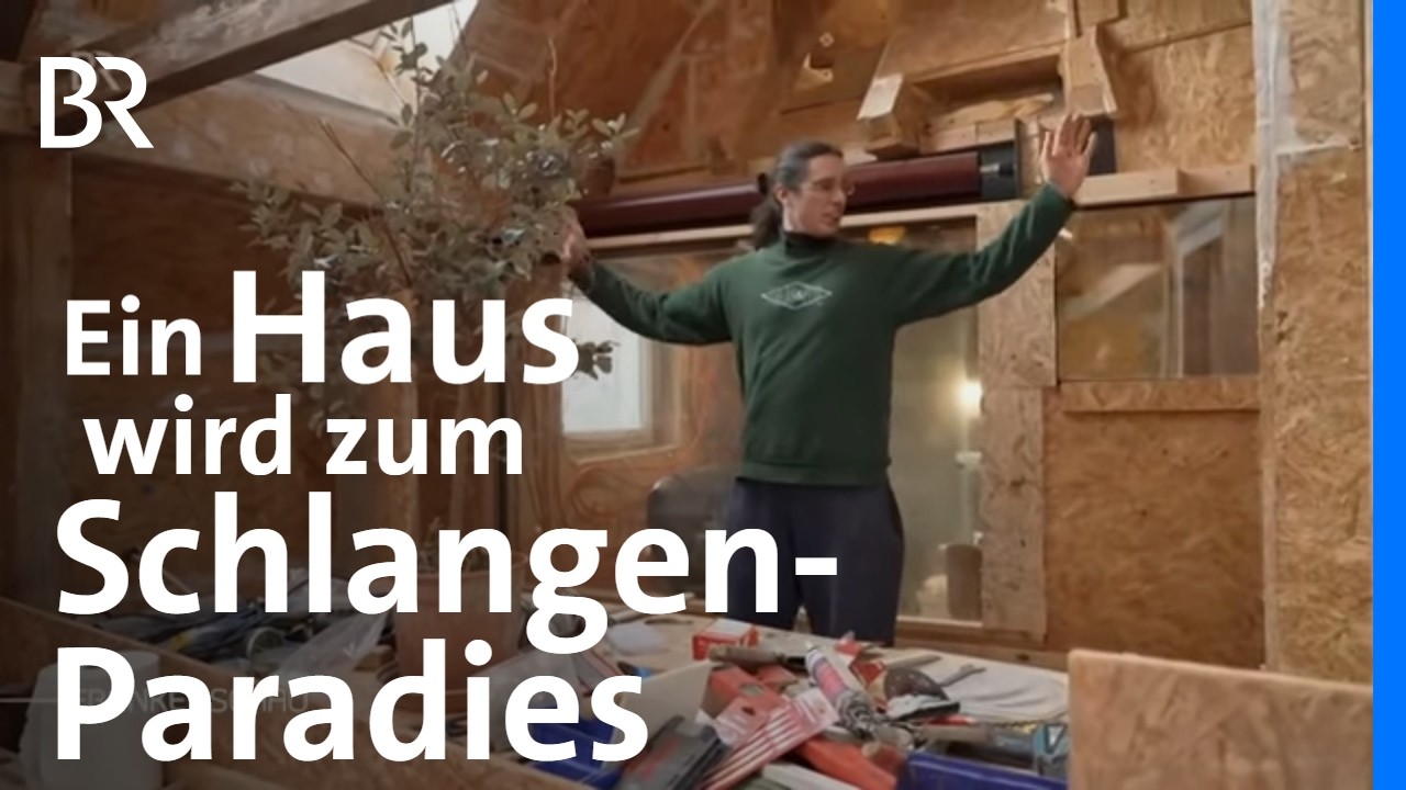 Ein Haus voller Schlangen: Das Schlangenhaus