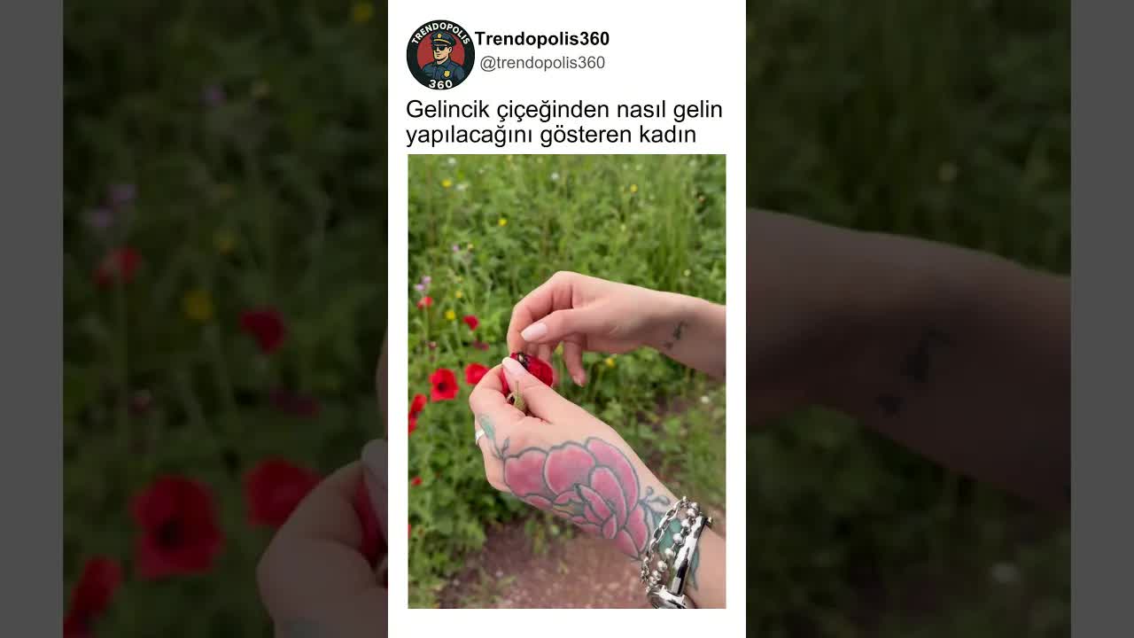 Gelincik çiçeğinden gelin kız yapımı