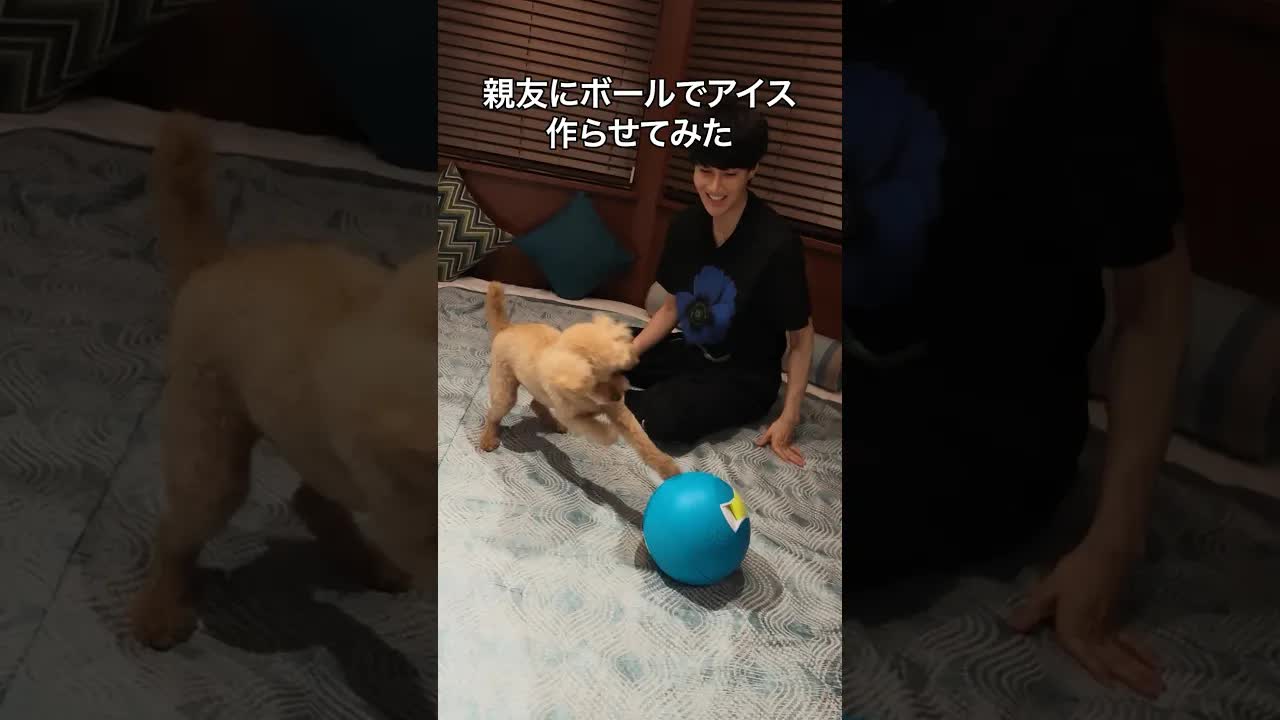 親友にボールでアイスを作らせてみた