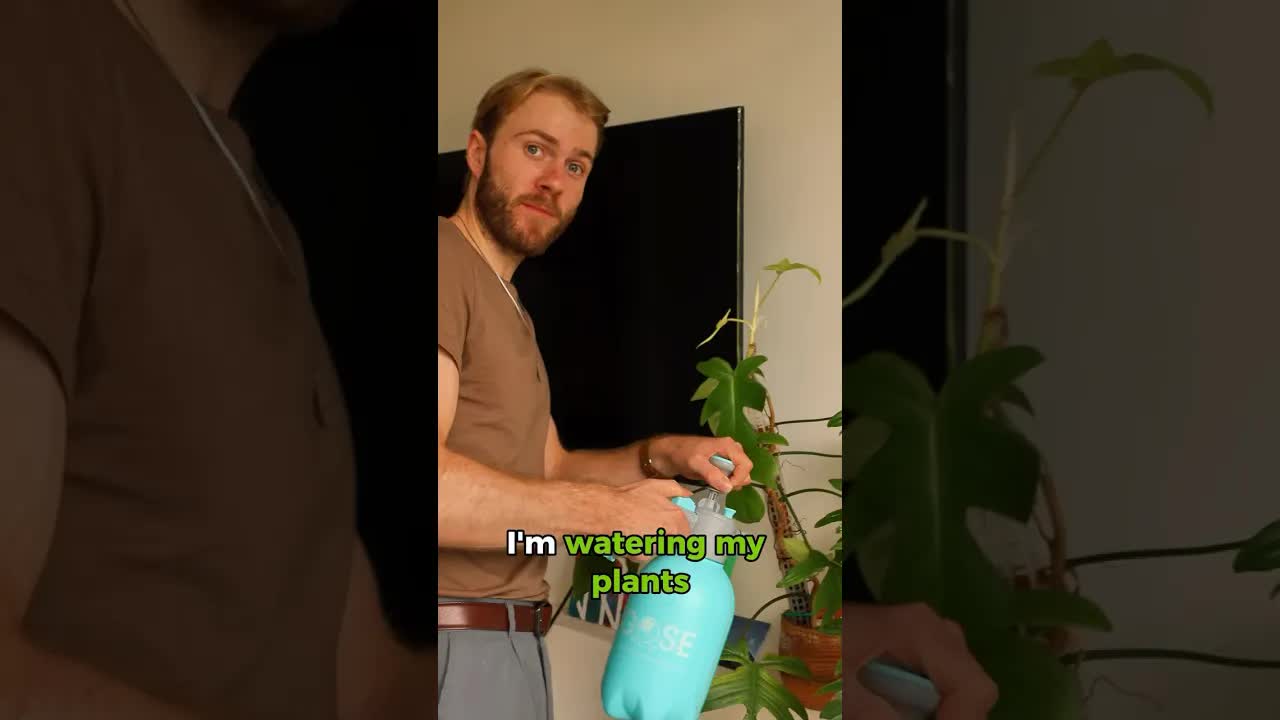 Daily House Tasks: Watering Plants and Hanging Clothes