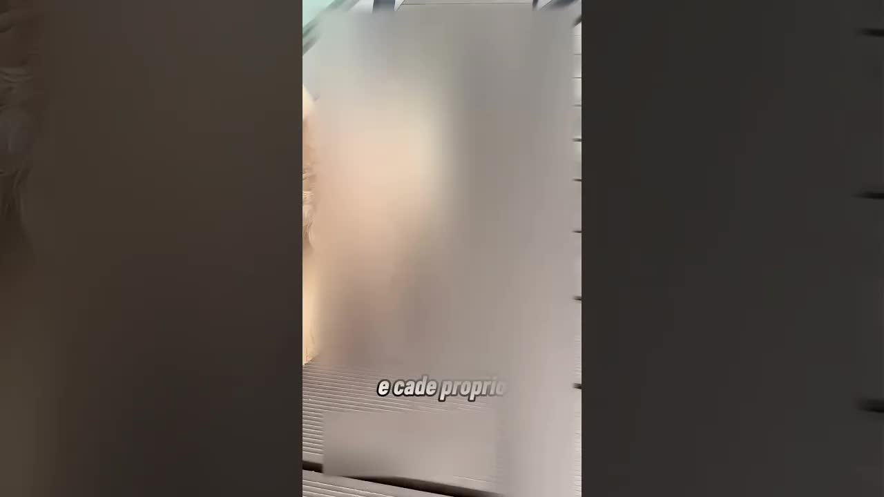 Il cagnolino cede lo zucchero alle formiche