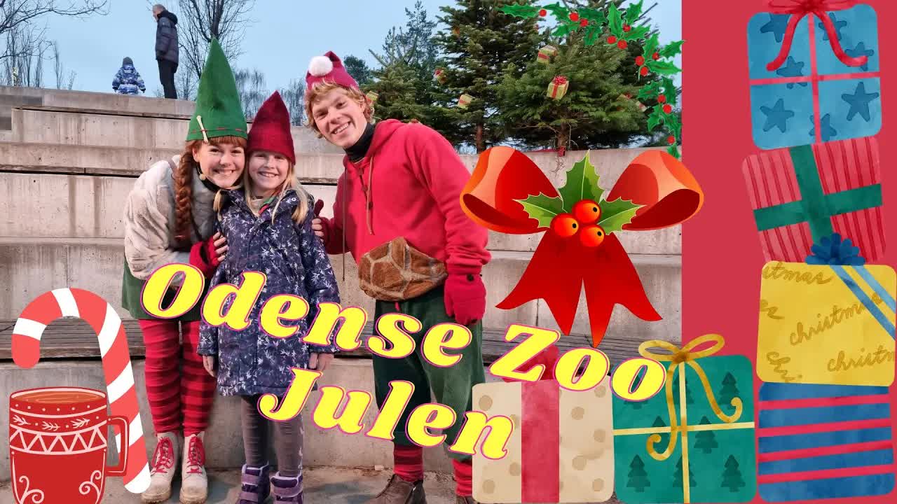 Julebesøg i Odense Zoo med Nisserne