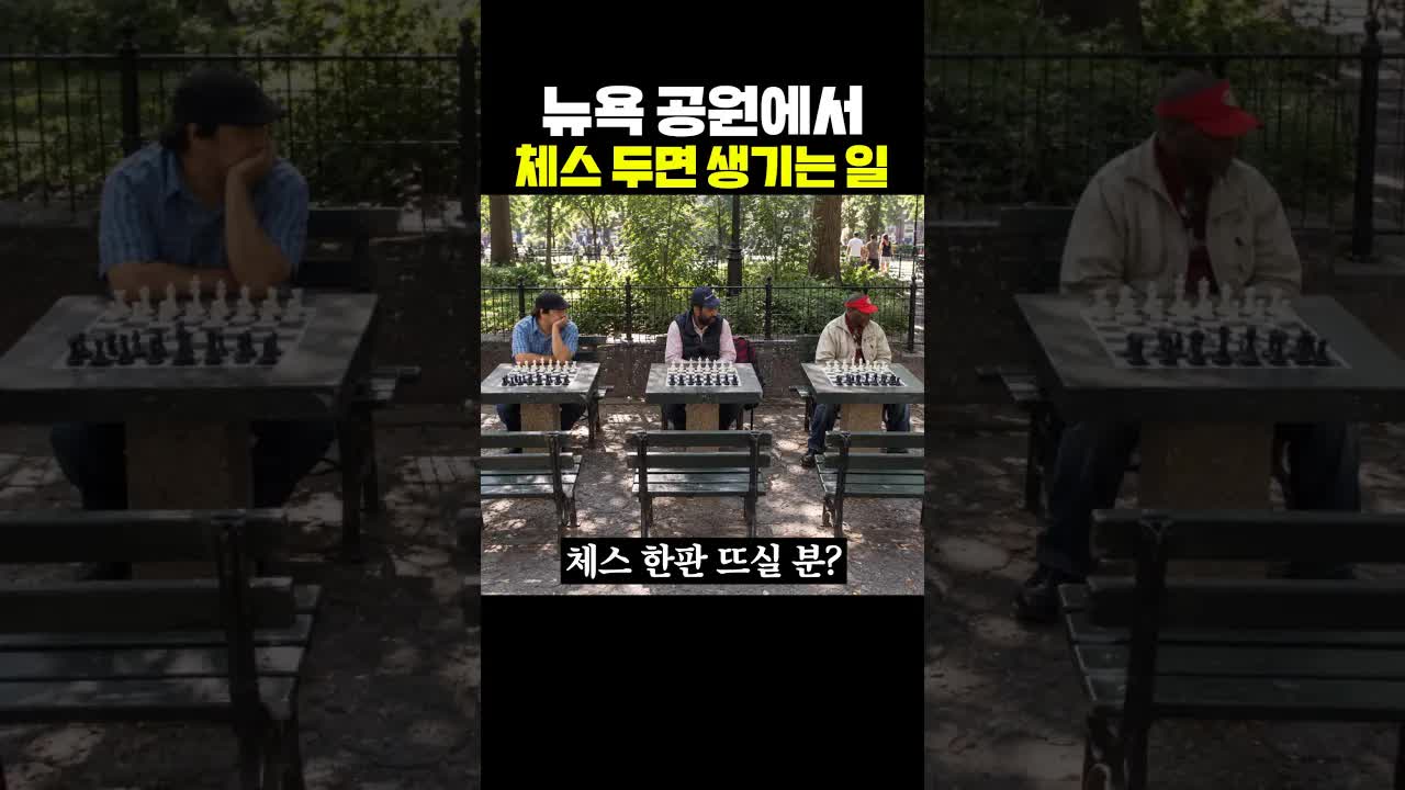 뉴욕 공원에서 체스 두면 생기는 일