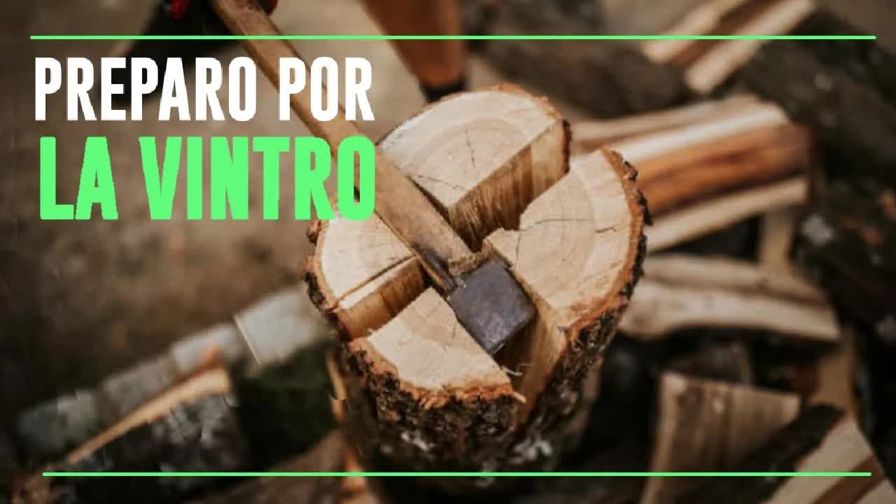 Preparoj por la vintro en nia vilaĝo