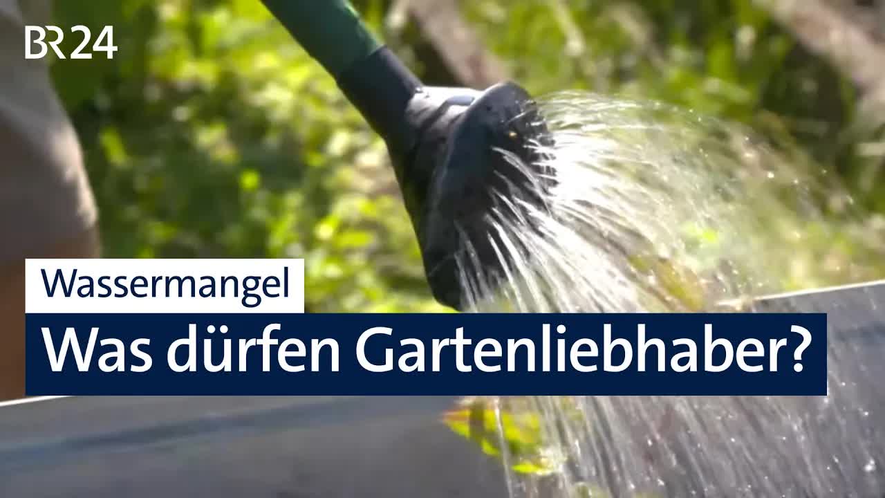 Wassersparen im Münchner Kleingarten
