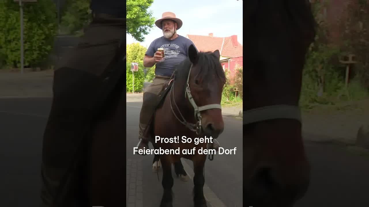 Ein normaler Feierabend auf dem Dorf mit Pferd