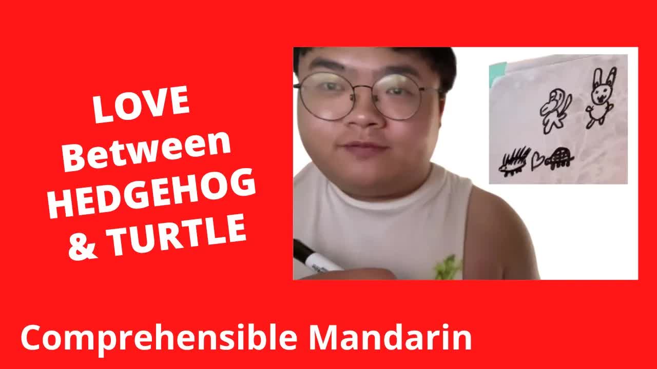 小刺猬和小乌龟的爱情故事