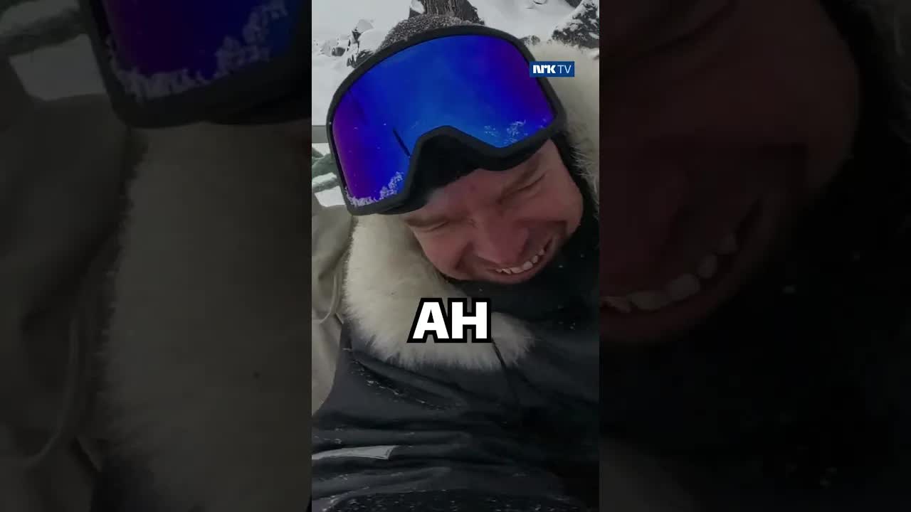 Å kjøre hundeslede med ansvar og hjelp
