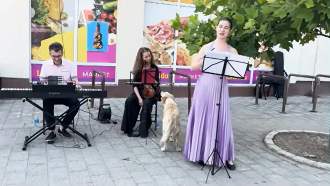 Klasična muzika na pijacama Novog Sada
